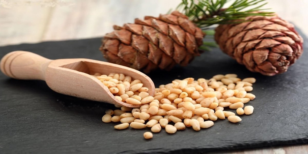 Pine Nut image