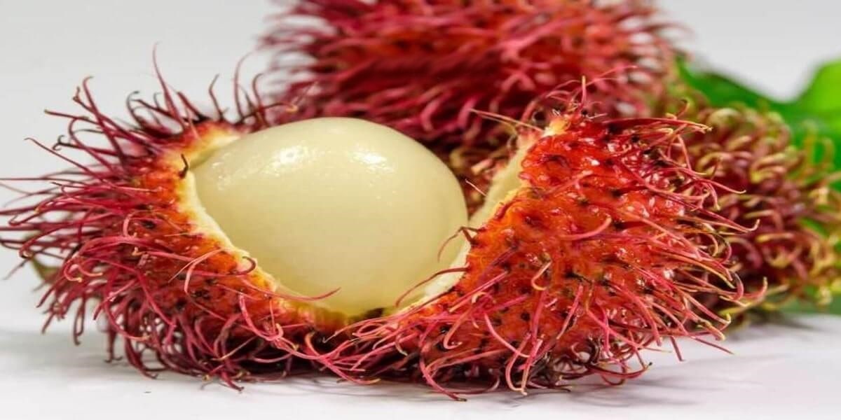 Rambutan Fruit Image