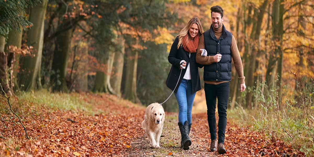 Romantic couple walking image